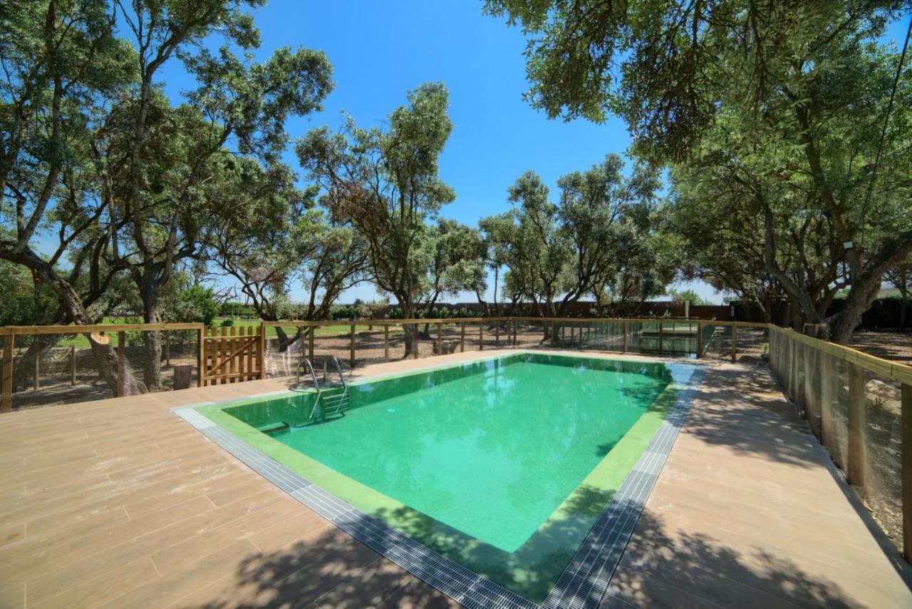 منزل الضيف توذيلا  في Finca Olivar De La Bardena المظهر الخارجي الصورة